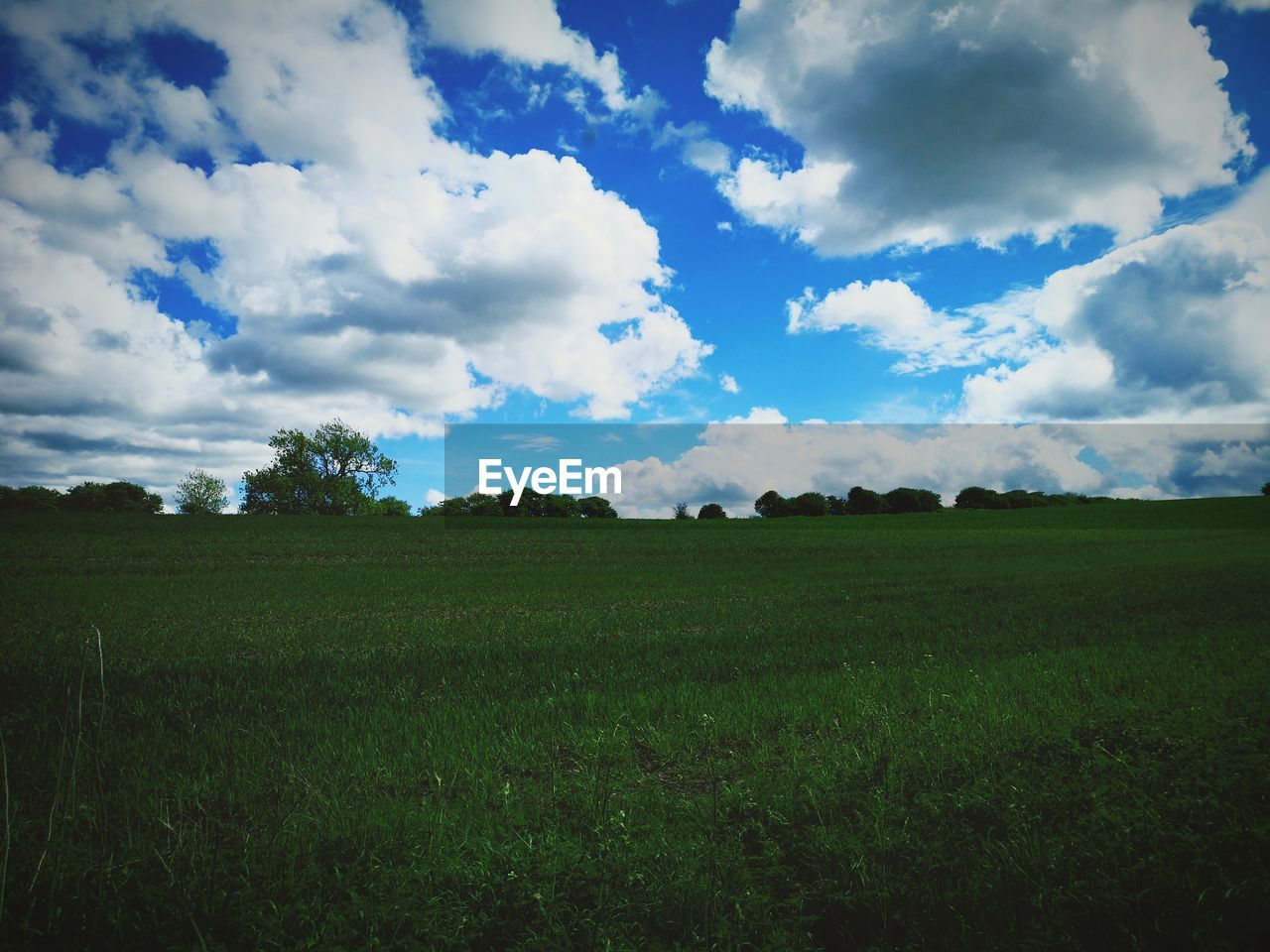 FIELD AGAINST CLOUDY SKY