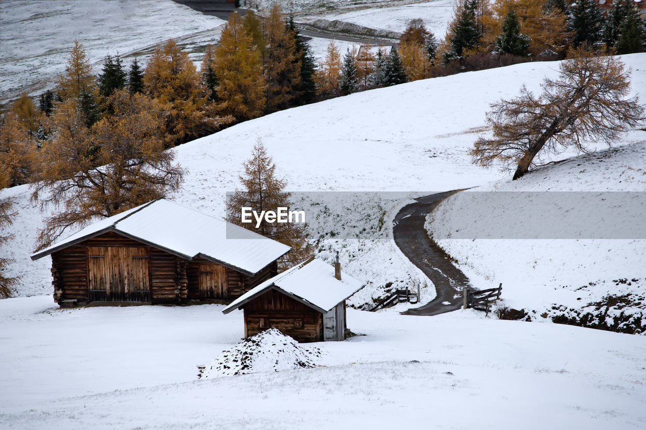 SCENIC VIEW OF SNOW COVERED TREES AND HOUSES