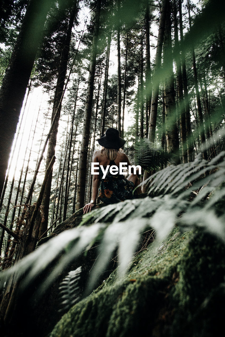 Low angle view of woman sitting on rock seen through plants at forest