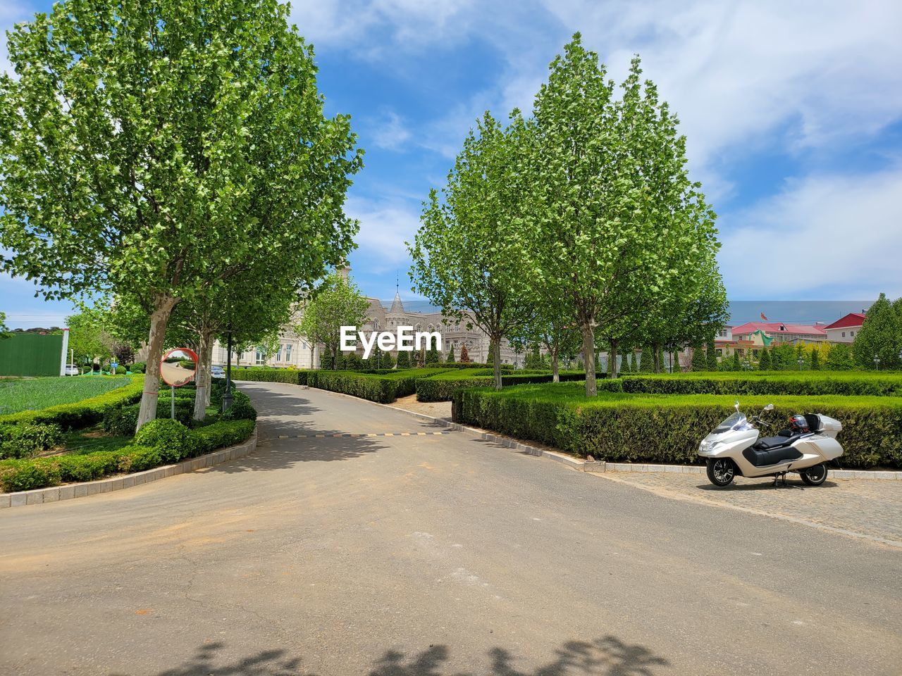 ROAD AMIDST TREES IN CITY