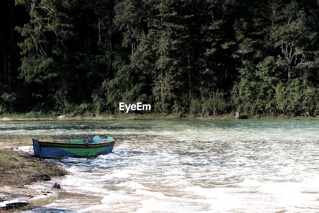 Rowboat moored at riverbank against trees in forest