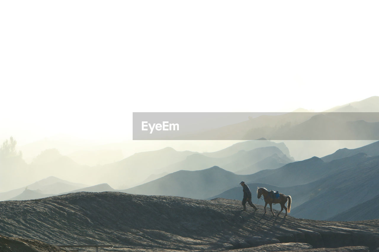 View of horse on mountain range against sky