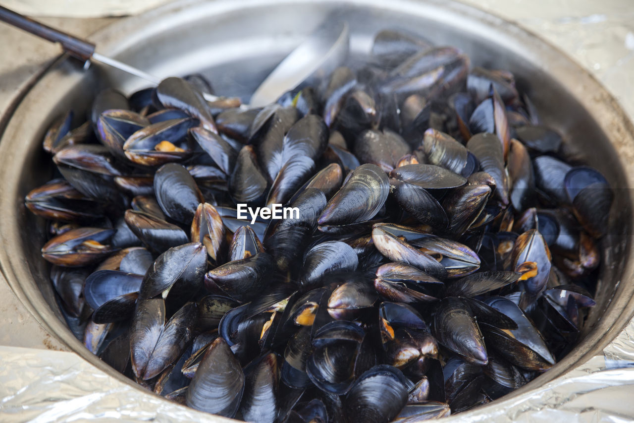 Close-up of mussels in container