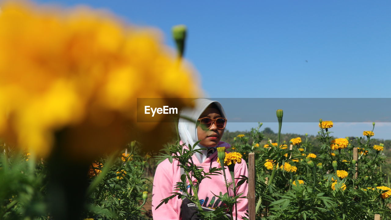Young woman wearing sunglasses while standing amidst yellow flowers on field against blue sky