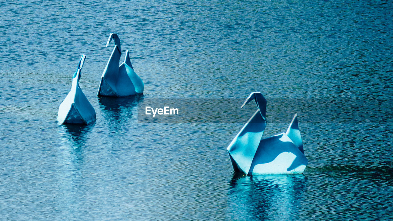 Origami swan floating on the lake.