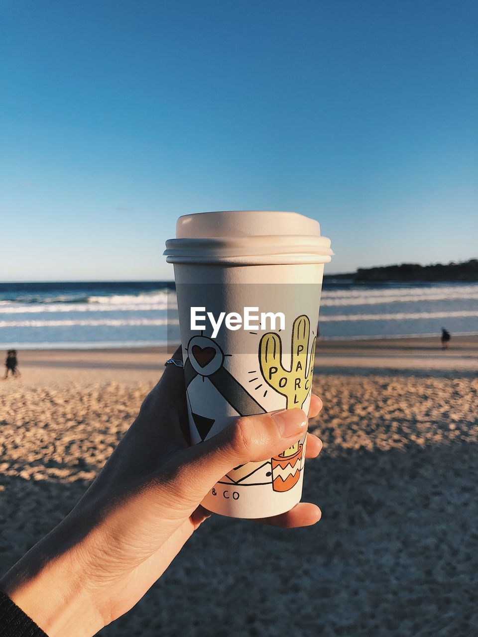 Cropped hand holding disposable coffee cup at beach