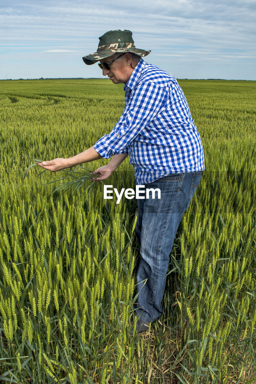 An agronomist or farmer in a field of grain that he controls. 