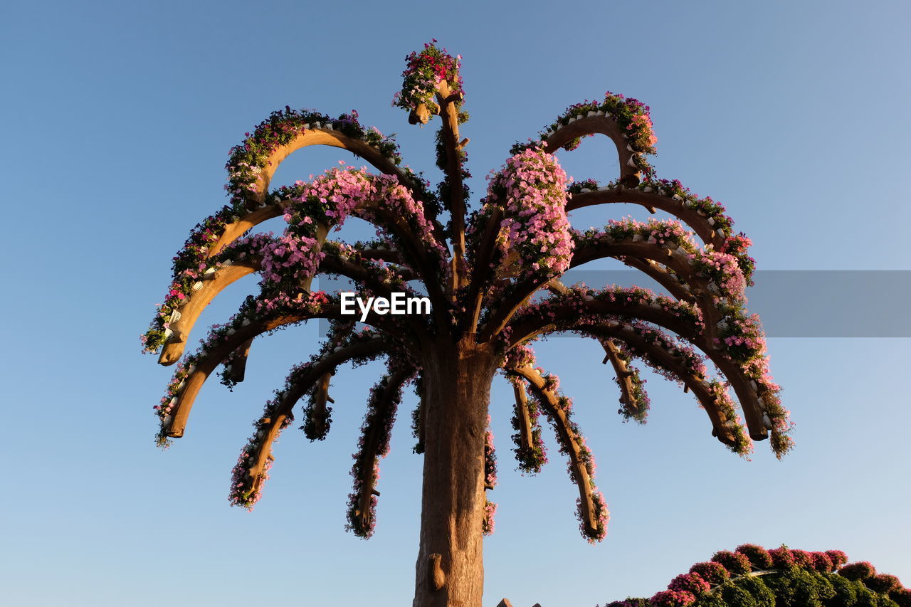 Low angle view of flowering plant against clear blue sky