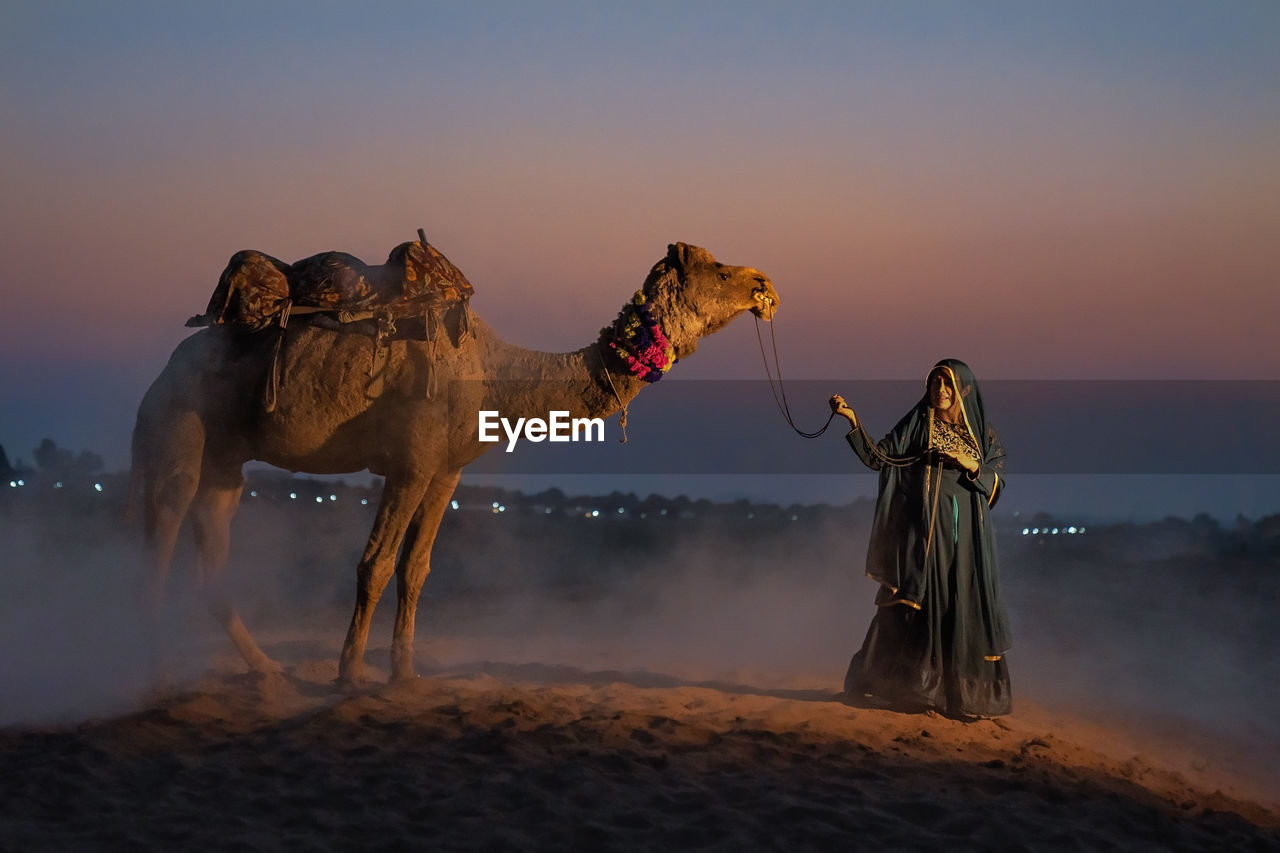 Woman with camel on sand in desert against sky during sunset