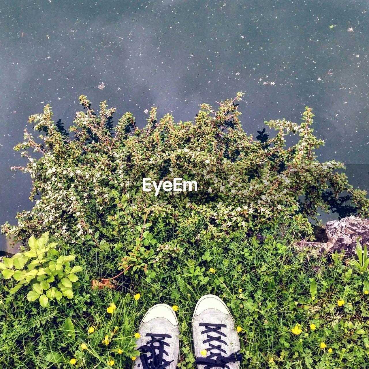 Close-up of cropped shoes on plants