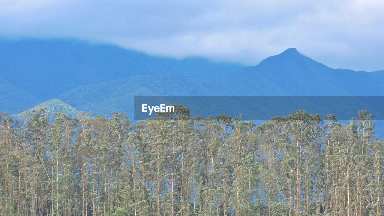 PANORAMIC VIEW OF LANDSCAPE AND MOUNTAINS AGAINST SKY