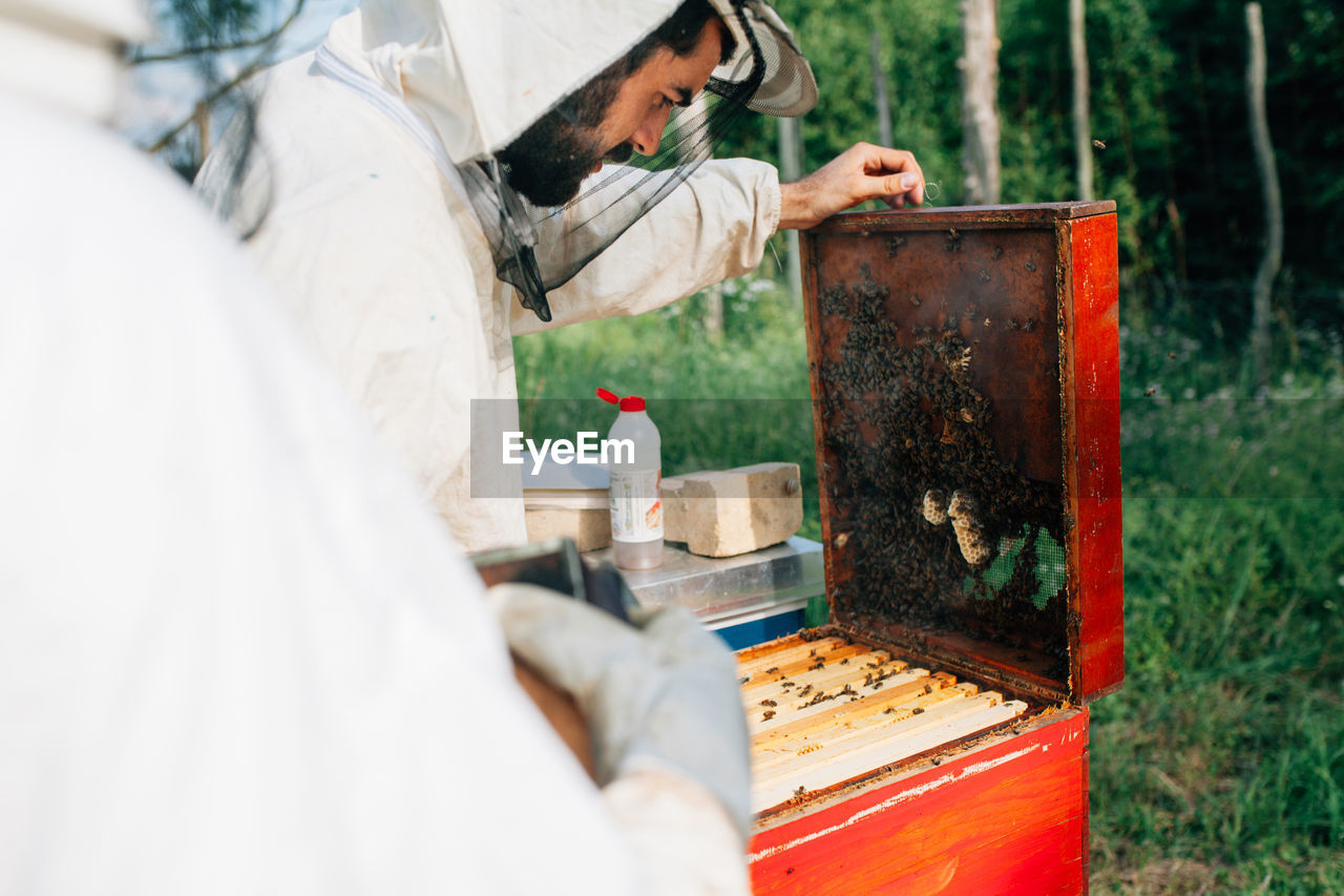 Side view of beekeeper examining beehive on land