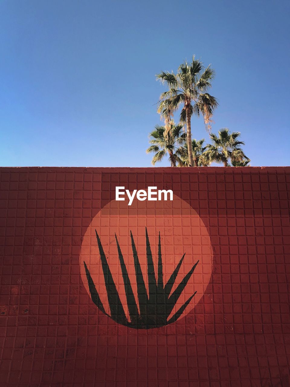 Plants drawn on brown wall against clear blue sky