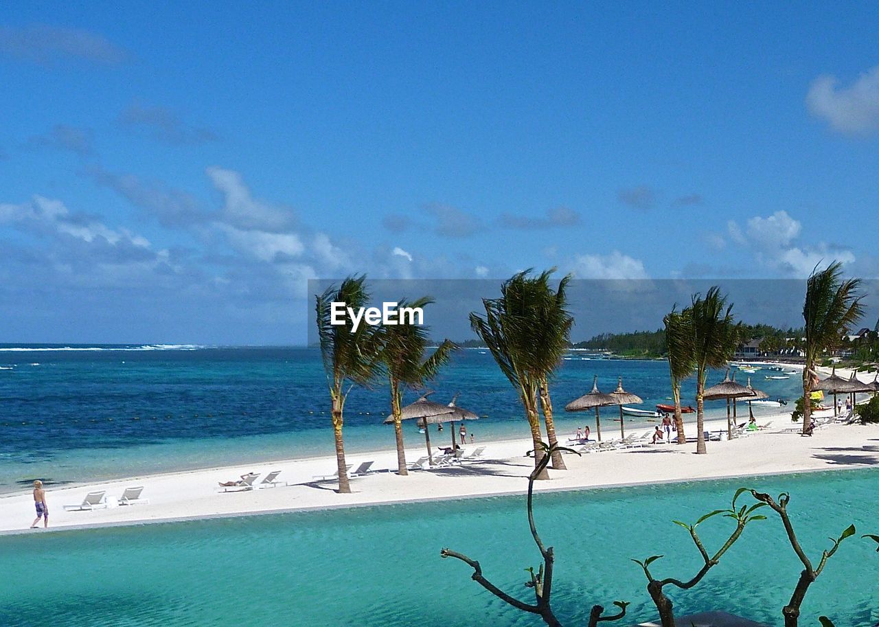 Palm trees and parasols at sandbar in sea against sky