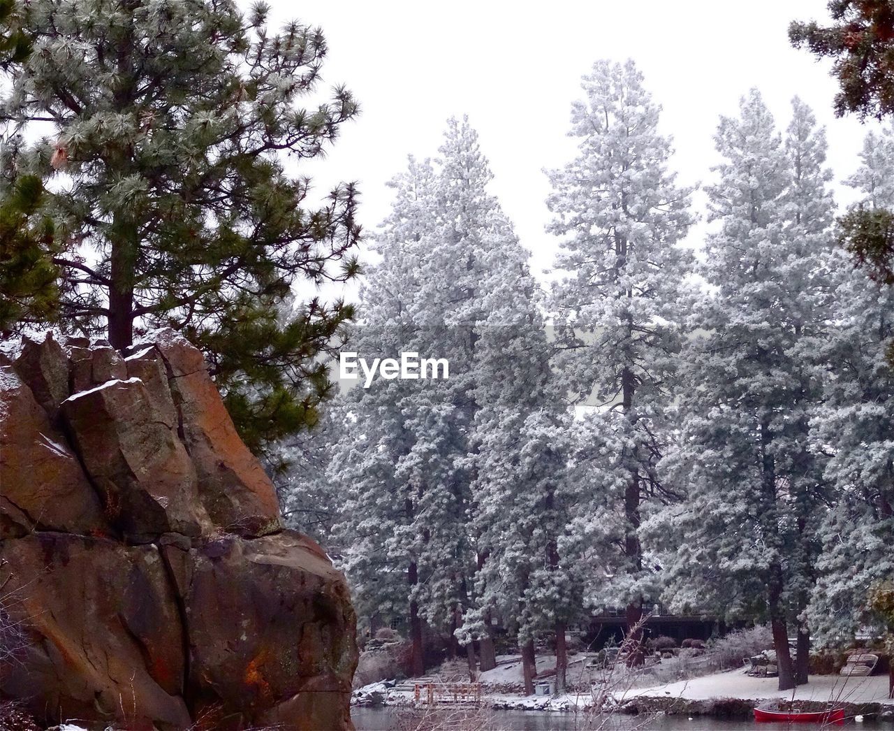 Scenic view of snow covered tree against sky