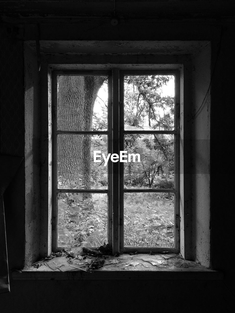 VIEW OF WINDOW