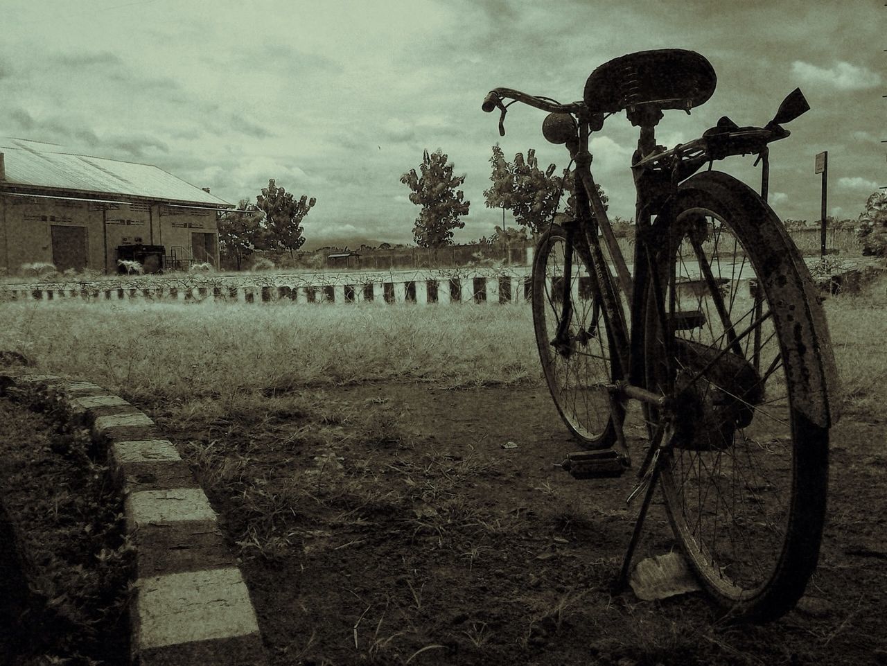 Rear view of a bicycle parked on landscape