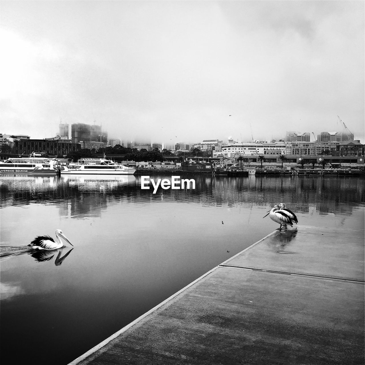 VIEW OF RIVER WITH BUILDINGS IN BACKGROUND