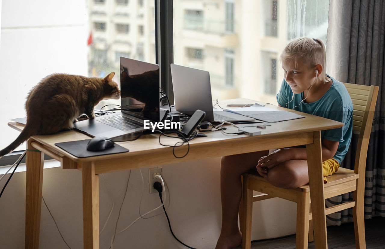 Teenage school boy student studying online on laptop near playful cat. online education, pet loved 