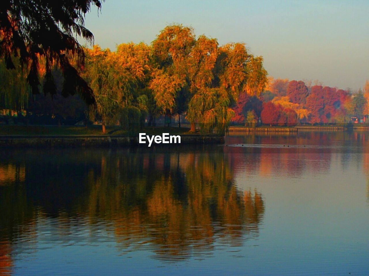 SCENIC VIEW OF LAKE BY TREES AGAINST ORANGE SKY