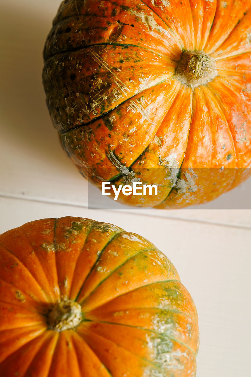 HIGH ANGLE VIEW OF PUMPKIN ON TABLE DURING AUTUMN