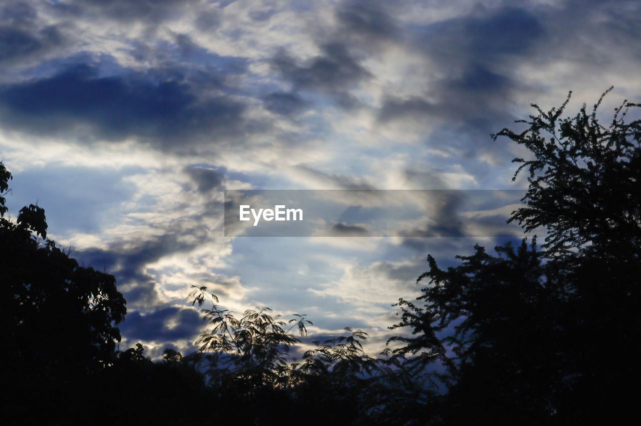 LOW ANGLE VIEW OF SILHOUETTE TREES AGAINST SKY AT SUNSET