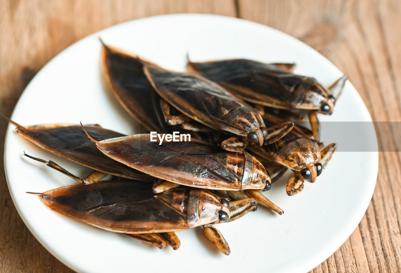 high angle view of fish in plate on table