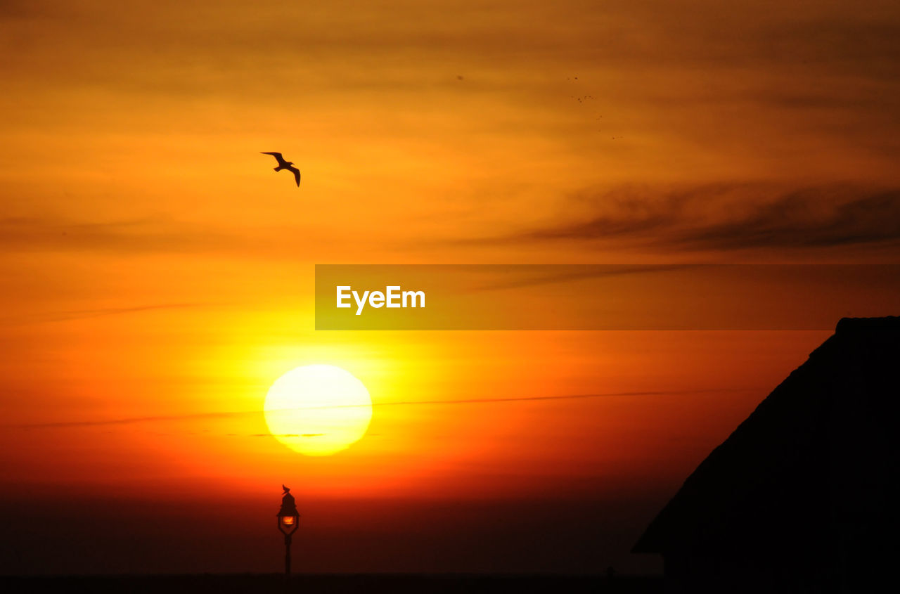 SILHOUETTE BIRD FLYING IN SKY