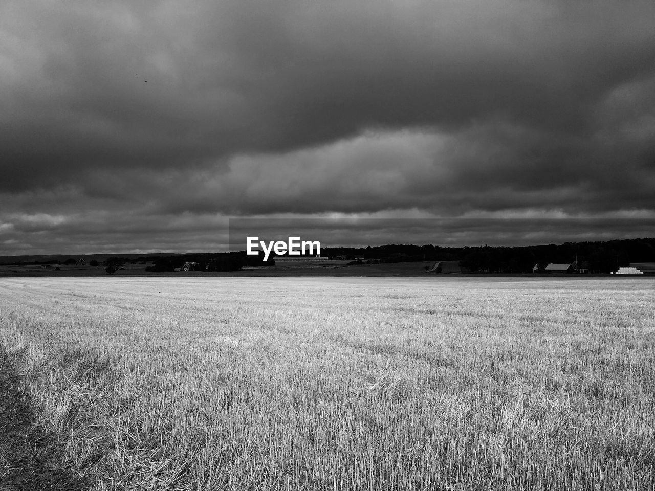 Scenic view of grassy landscape against cloudy sky