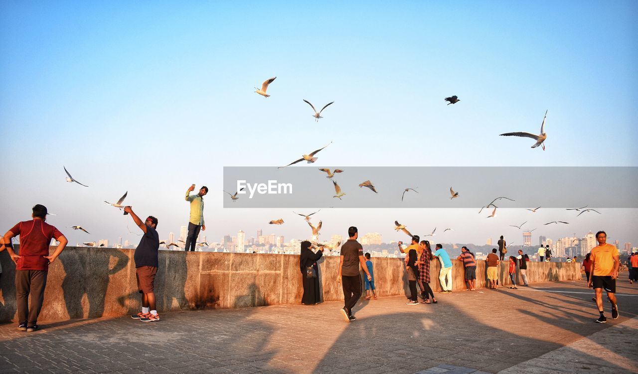 Group of people and birds on promenade against sky in city