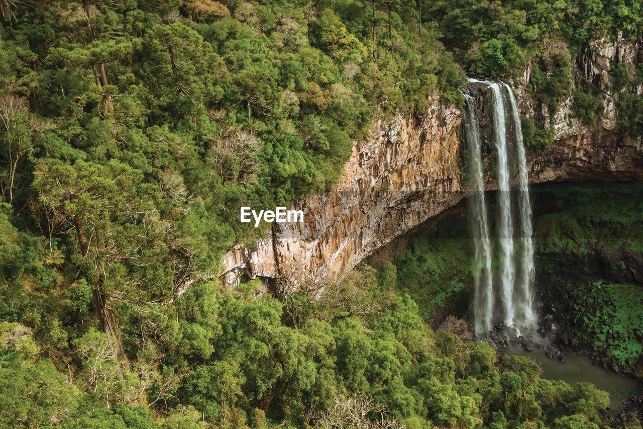 Caracol waterfall falling from rocky cliff in a canyon covered by forest near canela, brazil.