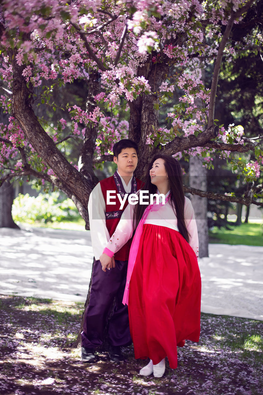 Wedding young man and a korean woman in national costumes stand by cherry blossom tree in spring