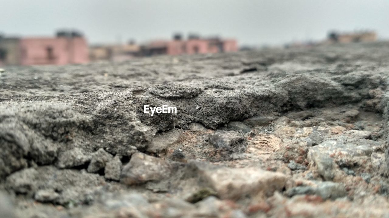 CLOSE-UP OF GRASS AGAINST SKY