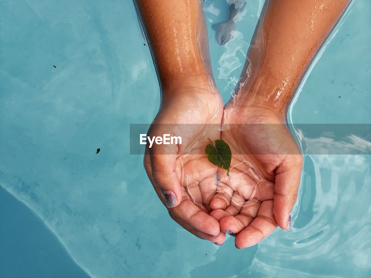 Cropped hands leaf in swimming pool