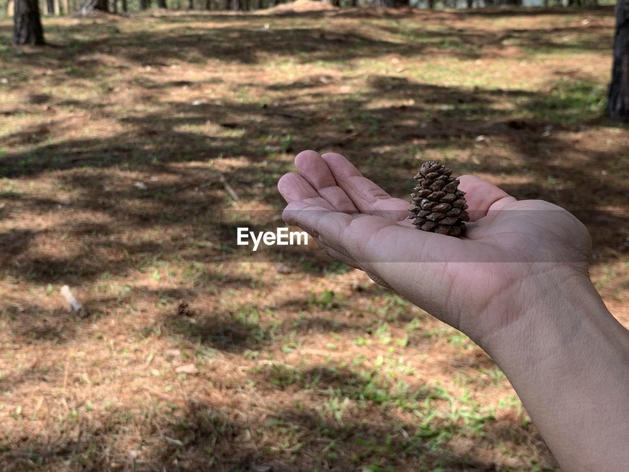 CLOSE-UP OF PERSON HAND HOLDING LAND