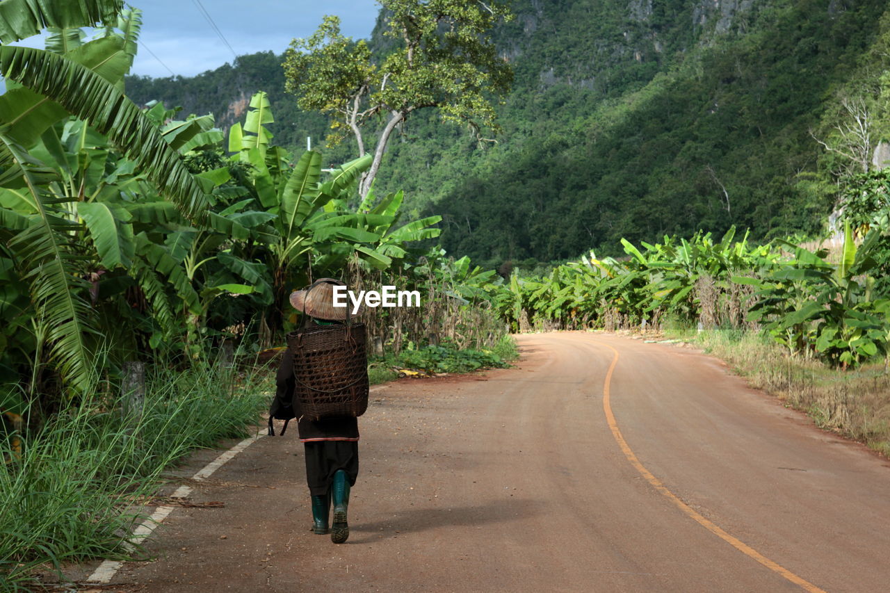 Rear view of person with basket walking on road in village