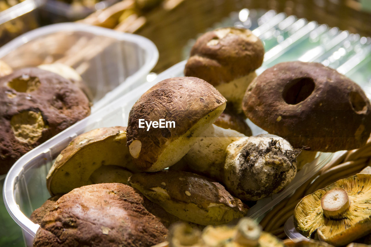 CLOSE-UP OF MUSHROOMS ON PLATE