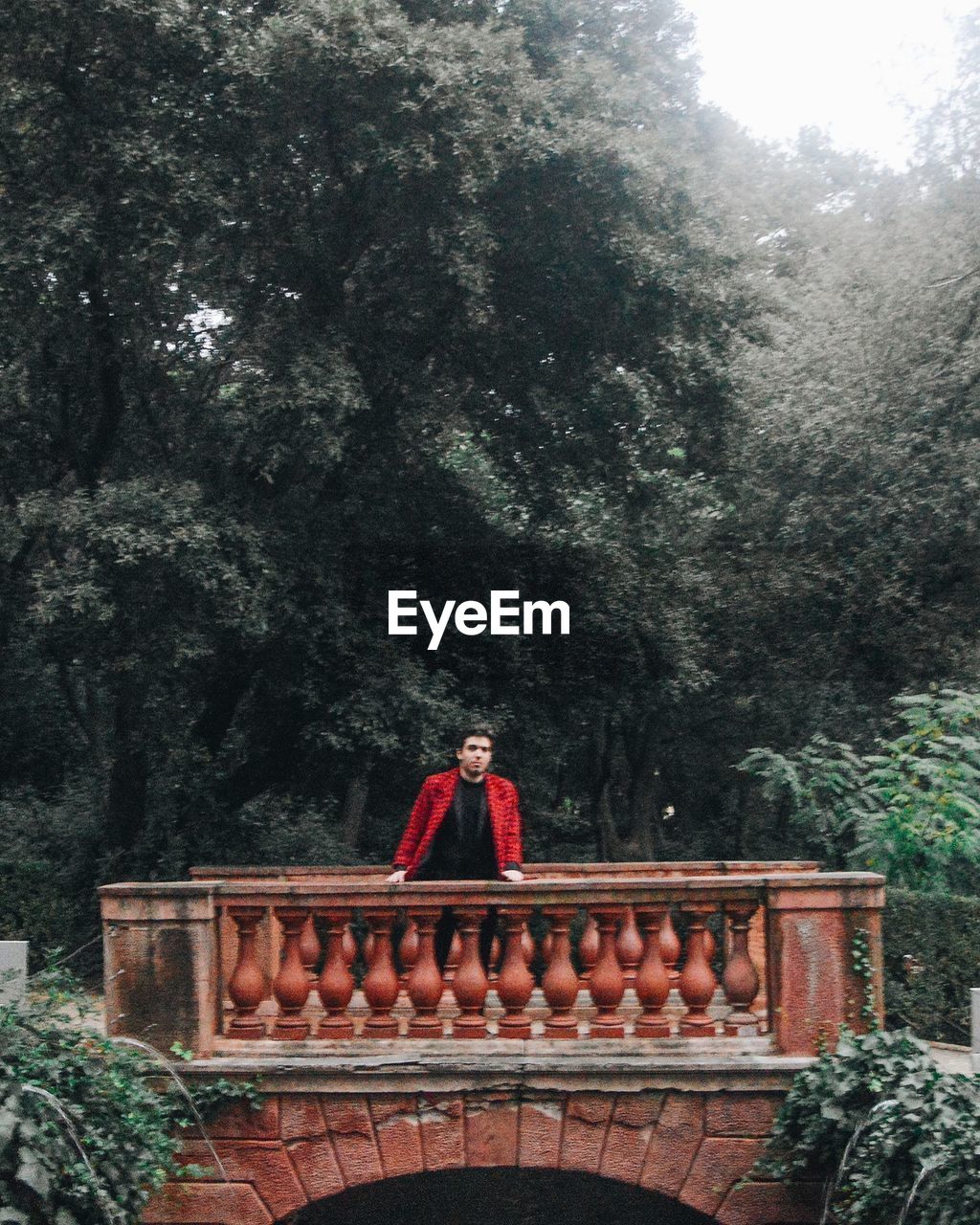 Man standing on footbridge against trees in forest