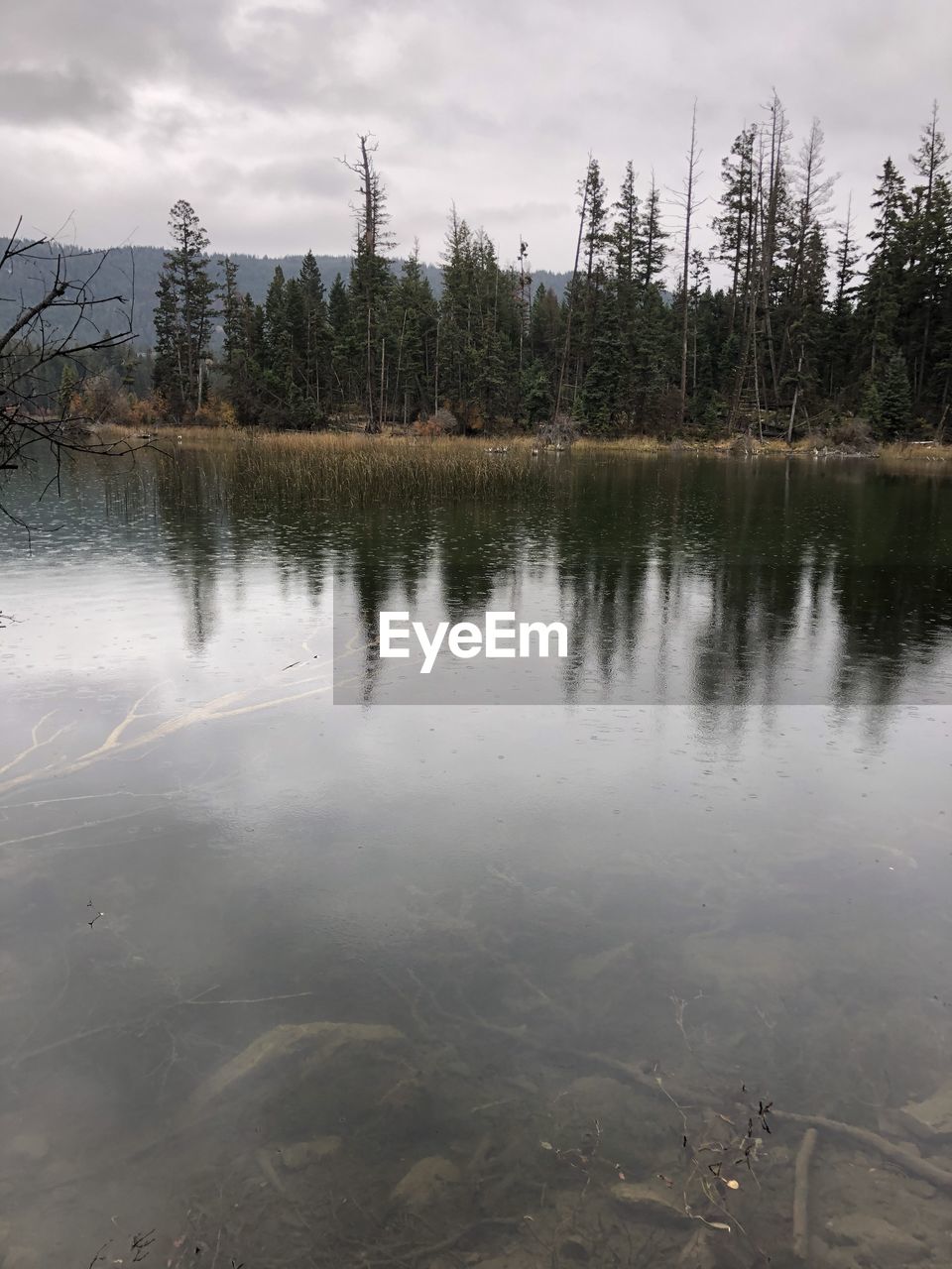 REFLECTION OF TREES ON LAKE AGAINST SKY