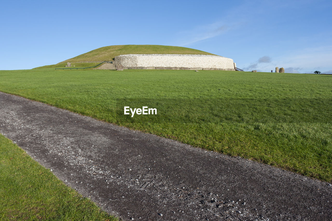 GRASSY FIELD AGAINST SKY