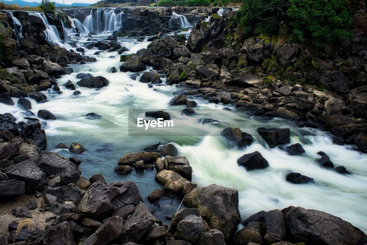 VIEW OF WATERFALL IN FOREST