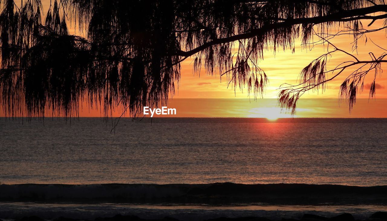 SILHOUETTE TREES ON SHORE AGAINST ROMANTIC SKY AT SUNSET