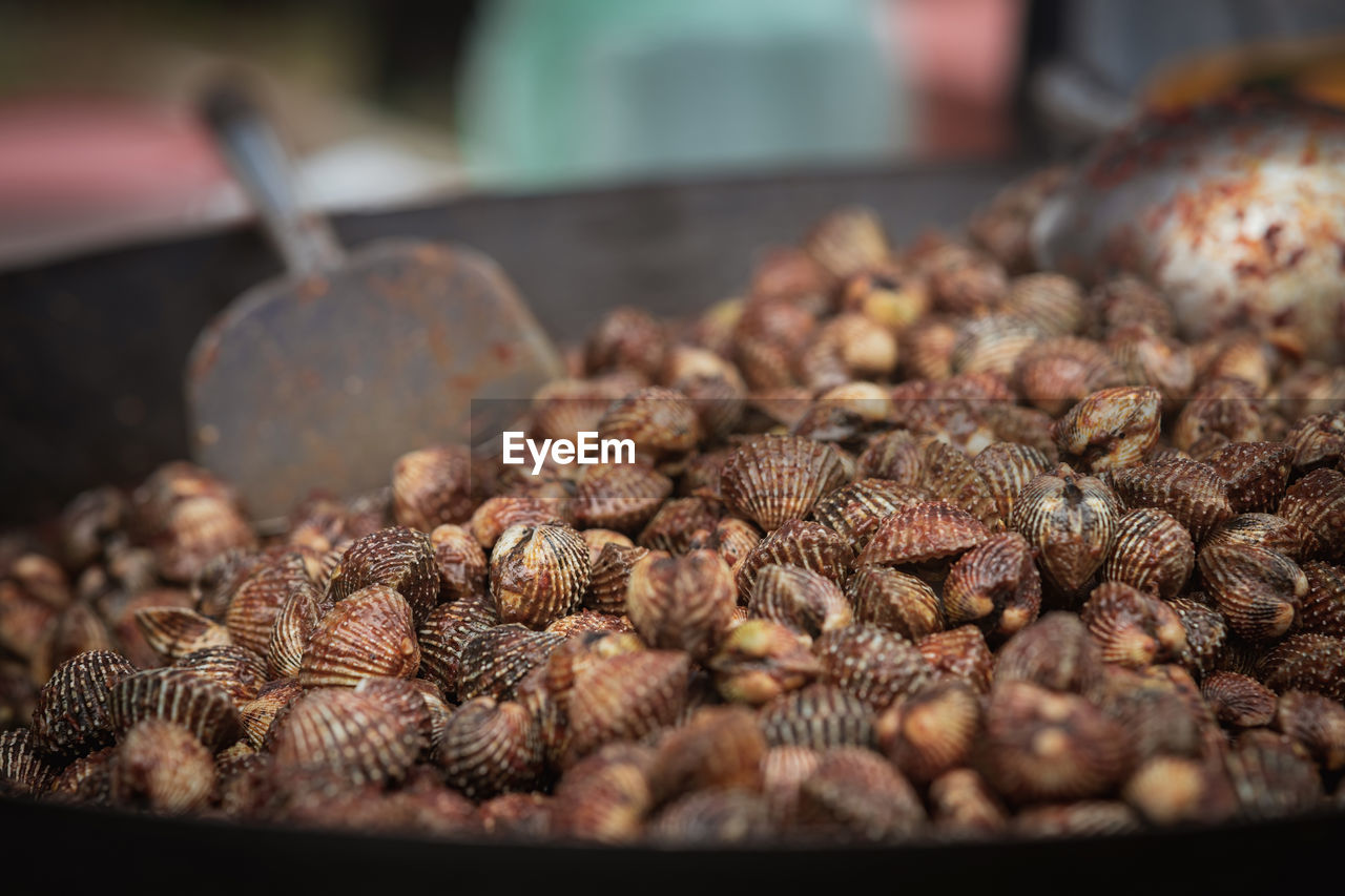 Cooked blood cockles on the plate, close-up.