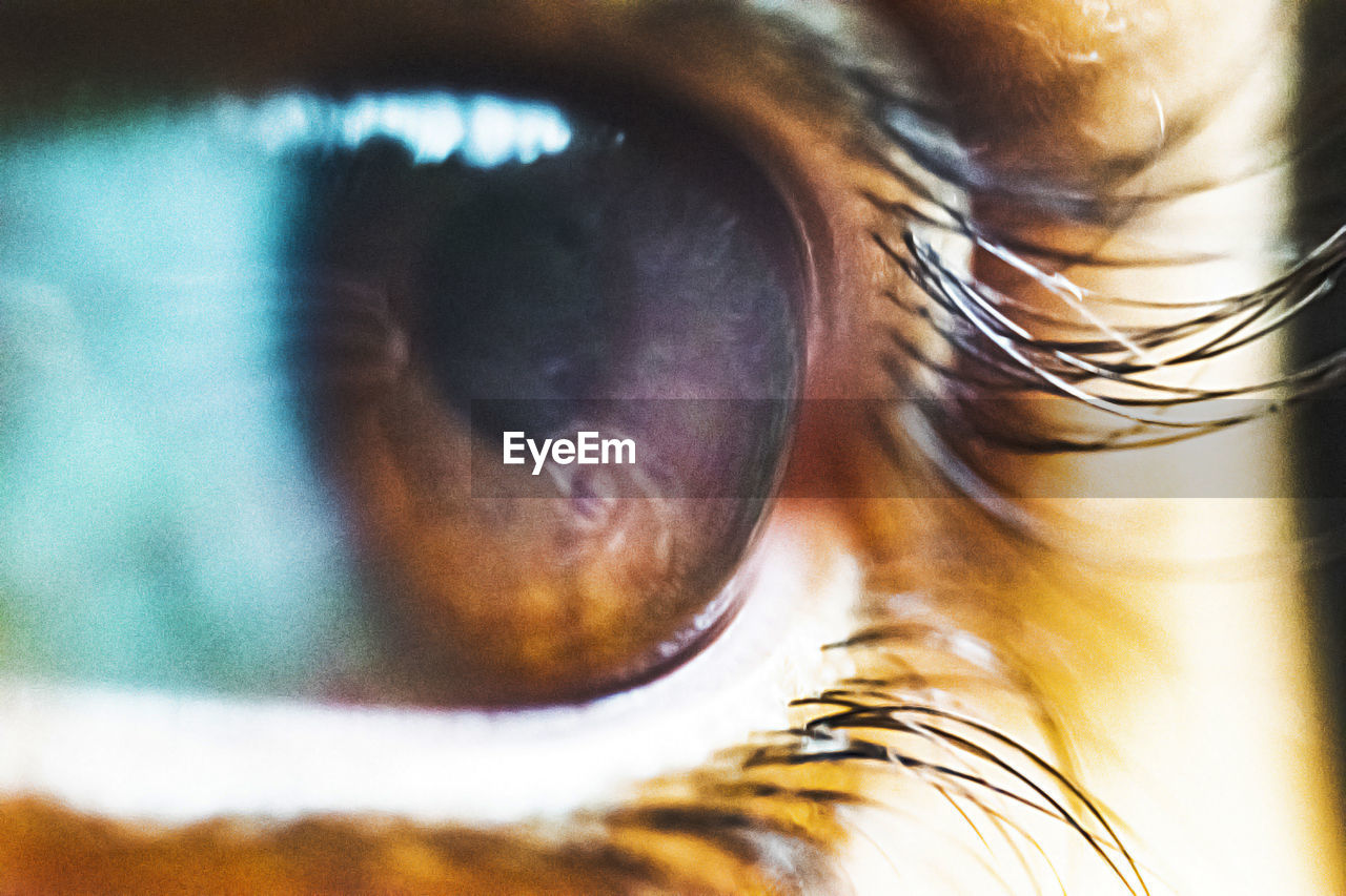 EXTREME CLOSE-UP OF WOMAN EYE