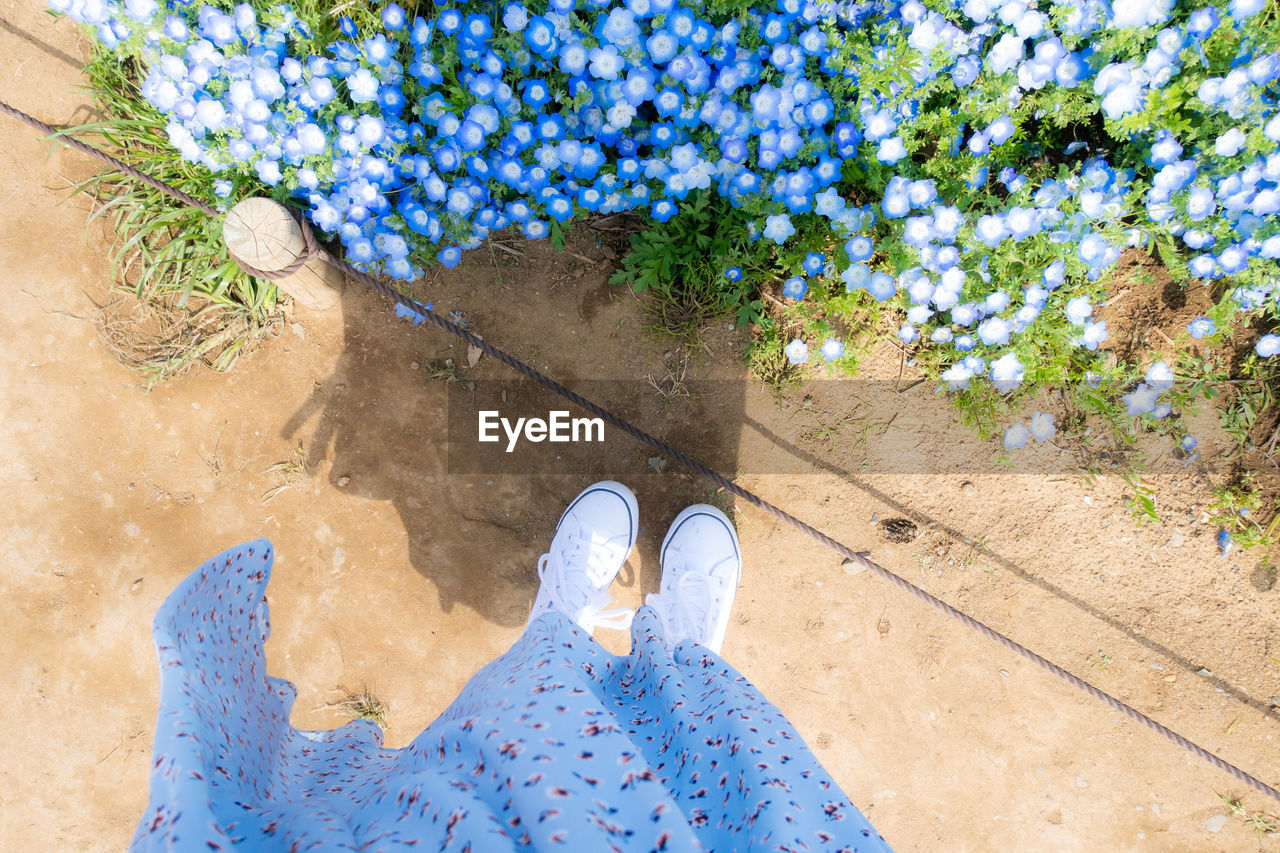 Low section of woman standing against blooming flowers