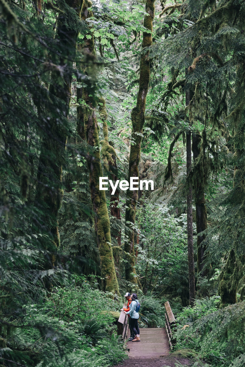 A young couple enjoys a hike in a forest in the pacific northwest.