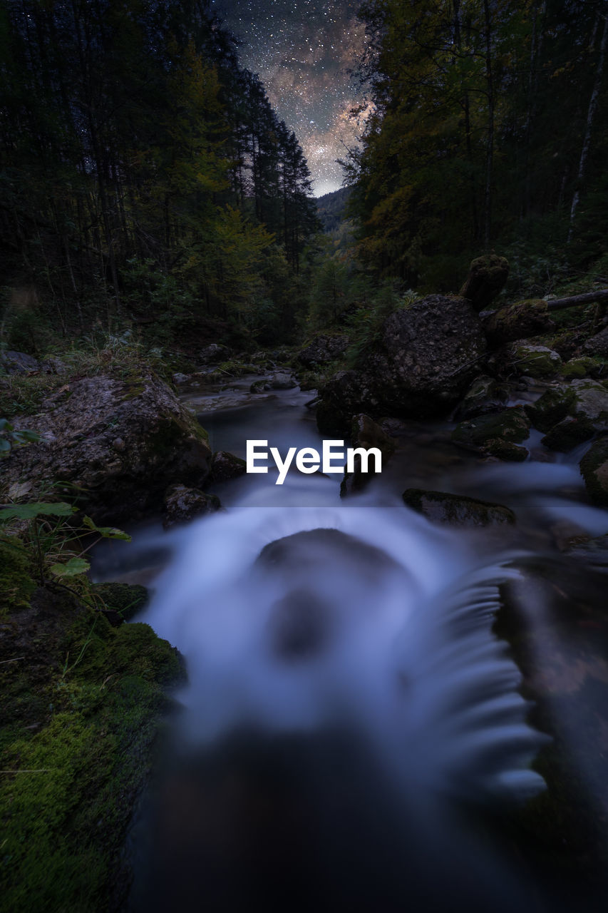 Stream flowing through rocks in forest at night