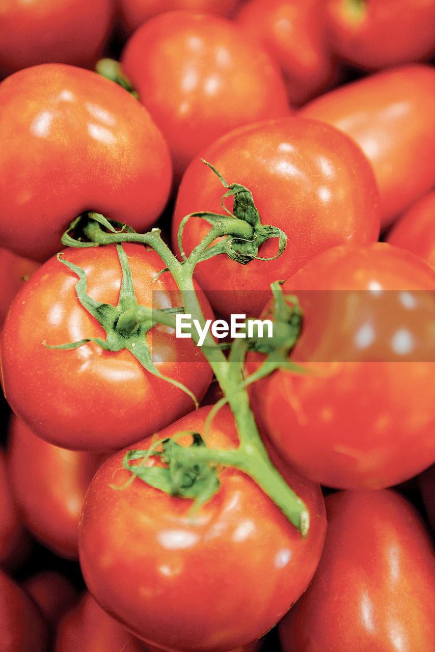 FULL FRAME SHOT OF TOMATOES FOR SALE AT MARKET STALL