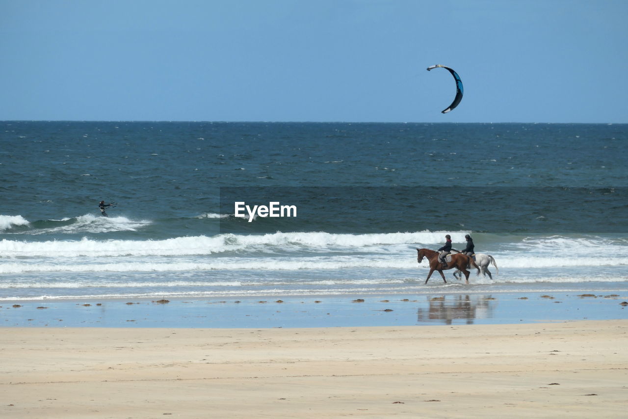 View of horses on beach riding by windsurfer 