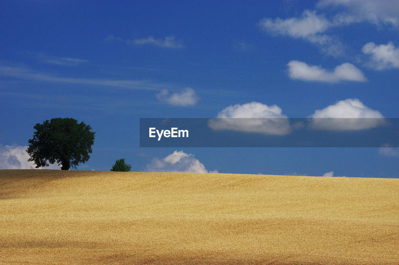 Scenic view of desert against sky